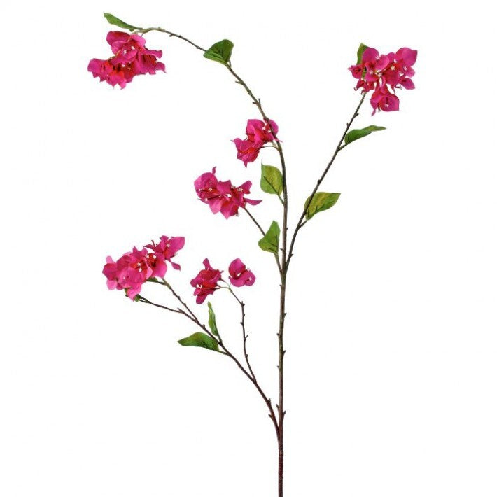 Bougainvillea Stem 55"