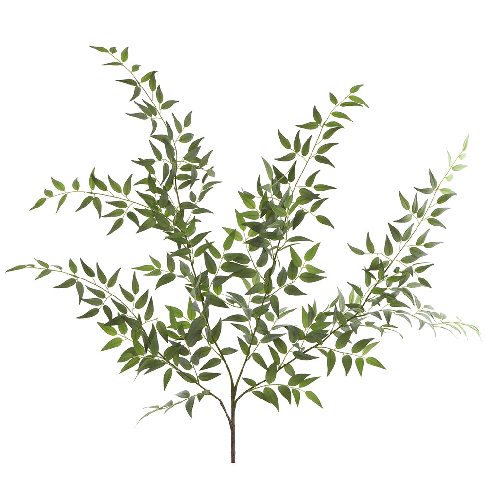 Italian Ruscus 47"