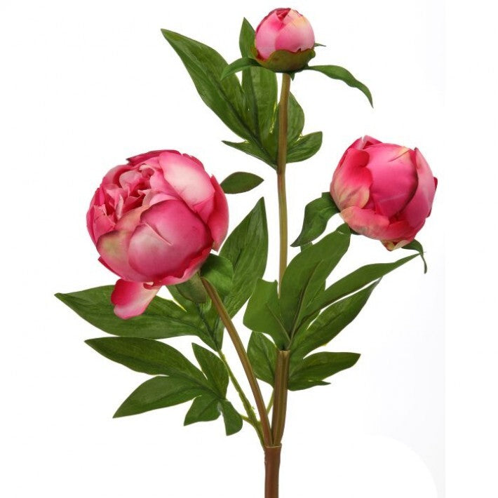 Peony Bud 25"