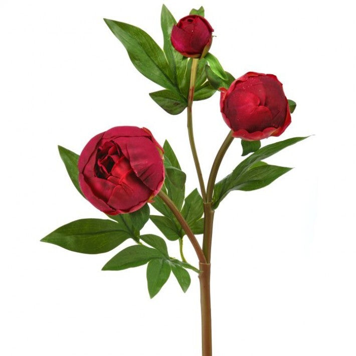 Peony Bud 25"