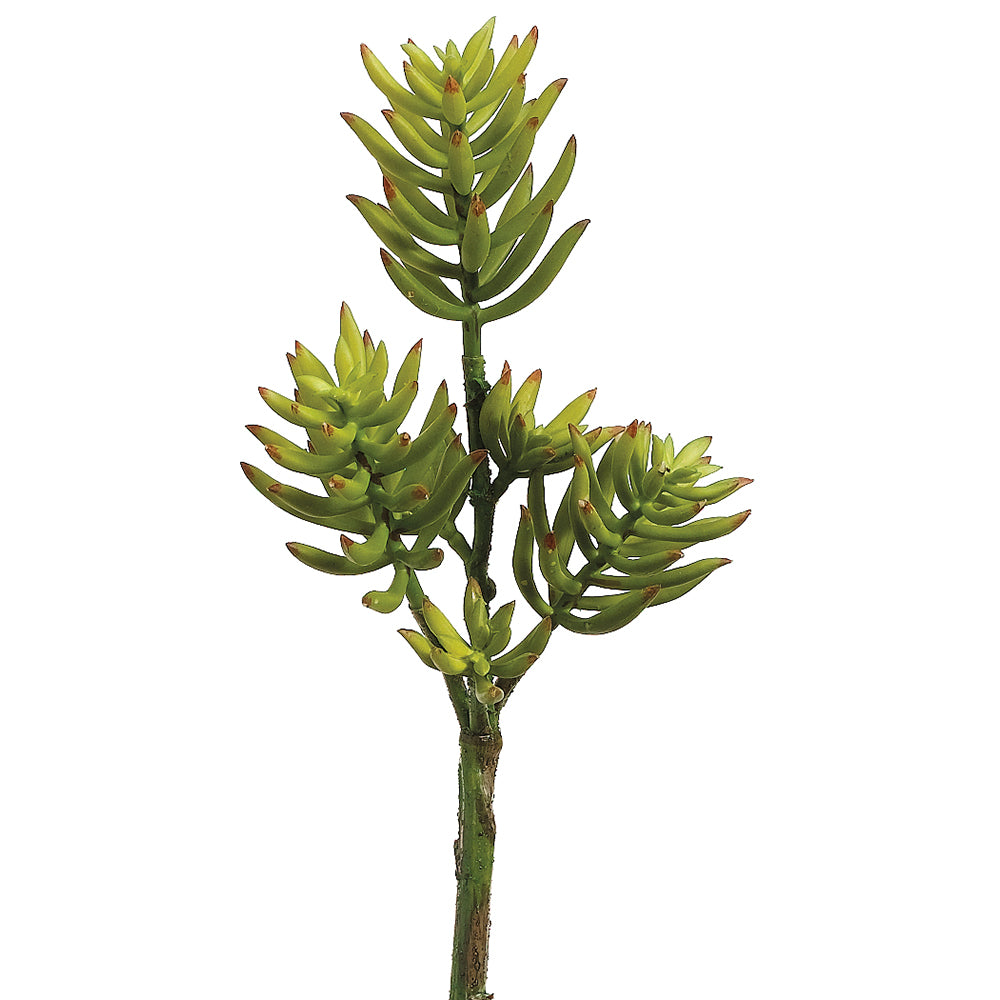 twig like succulent Faux succulent stem, permanent succulent stem, faux succulent – Palm Bungalow