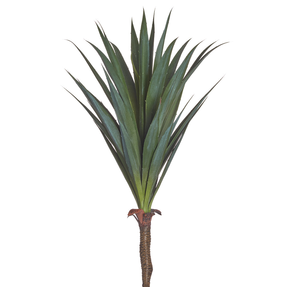 Yucca Plant 17"