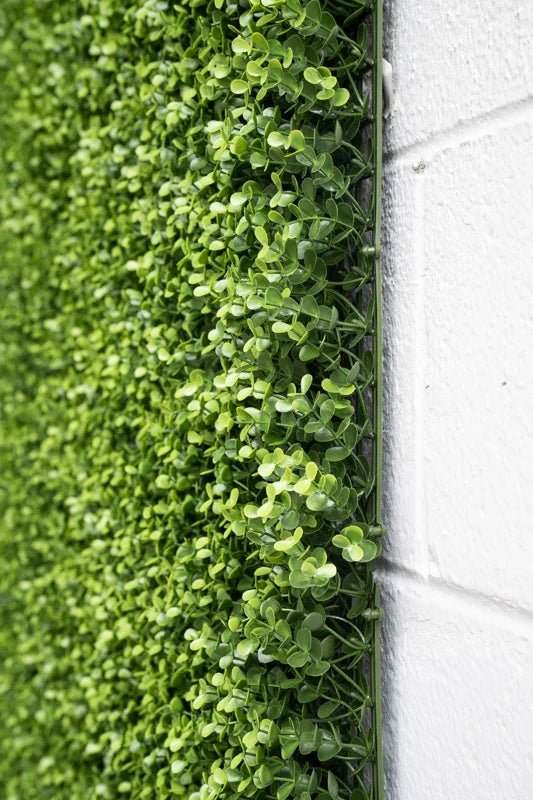 Boxwood Wall Mat 12"x12" (case of 24)