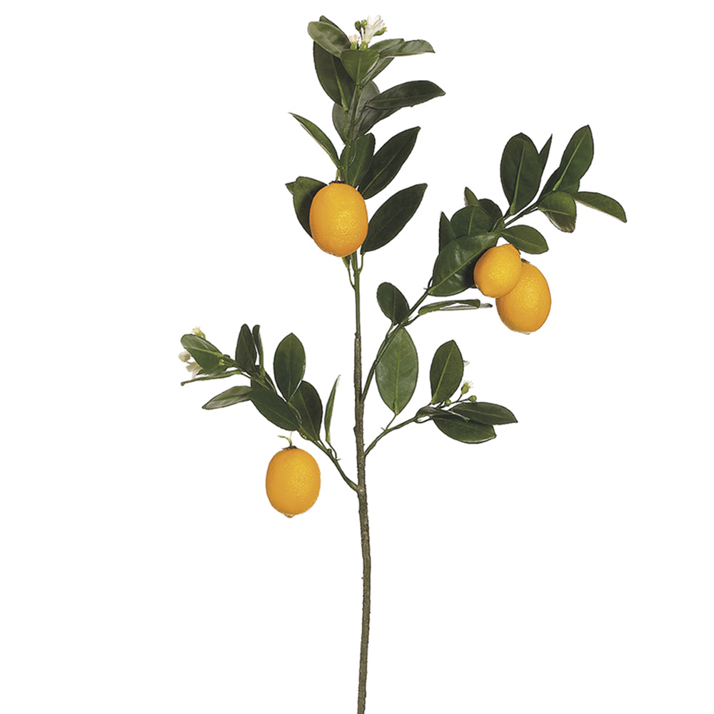 Lemon Branch 32"