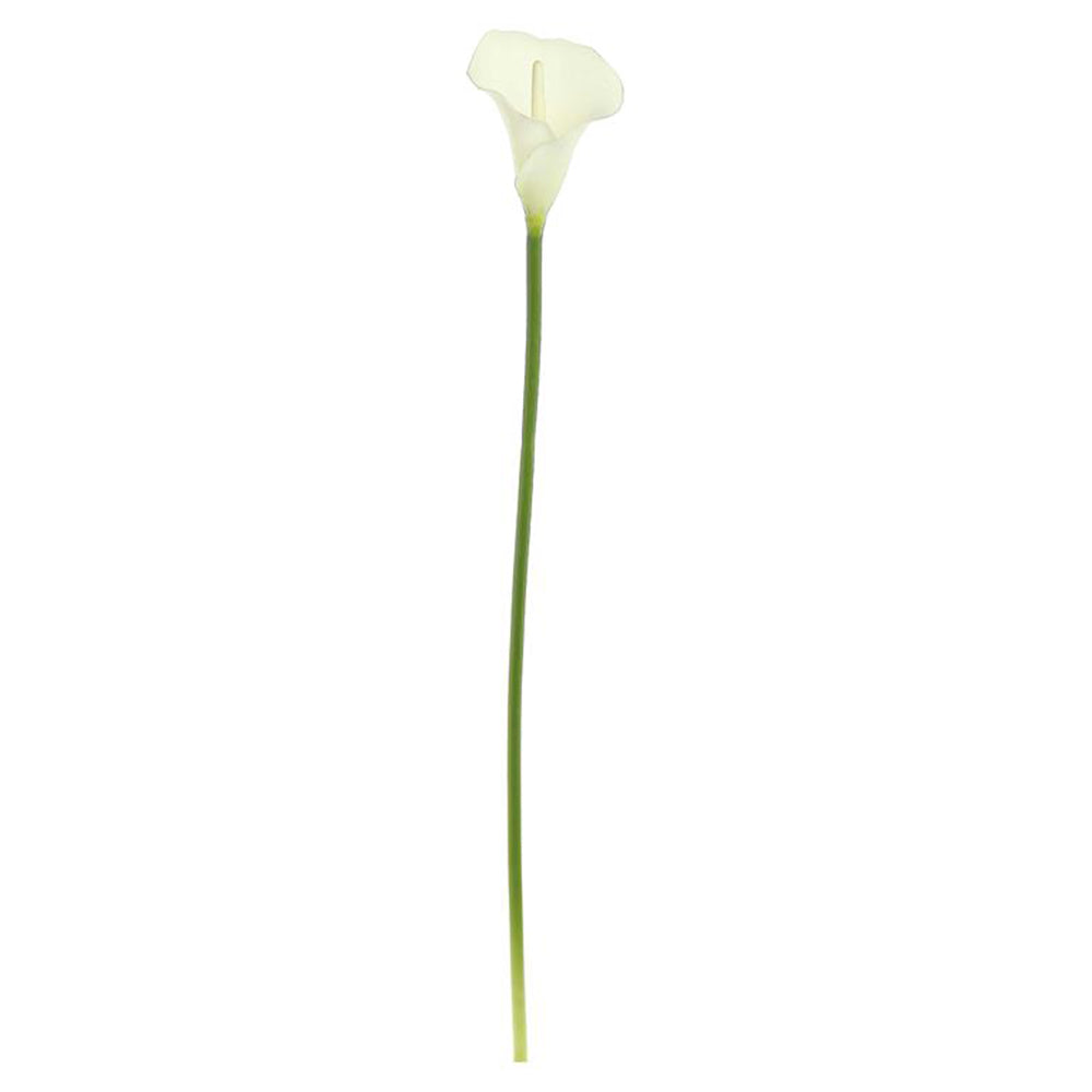 Calla Lily 35"