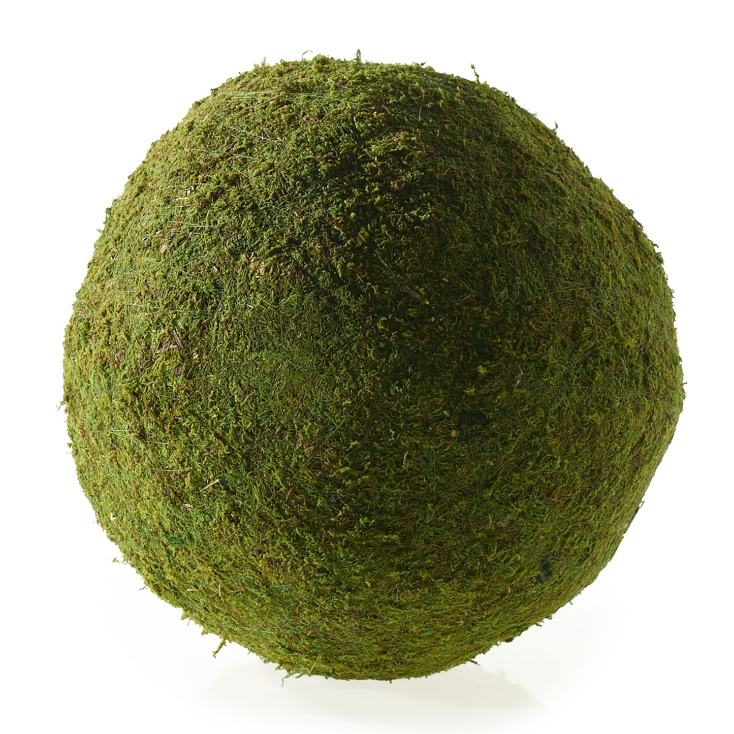 Moss Sphere (Preserved)