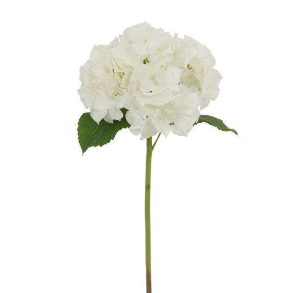 Hydrangea Stem White 21"