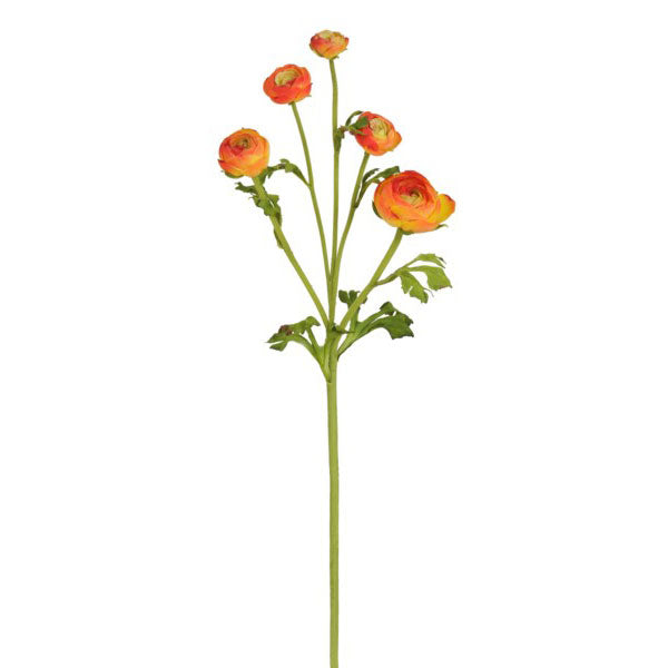 Ranunculus Stem Orange 21.5"