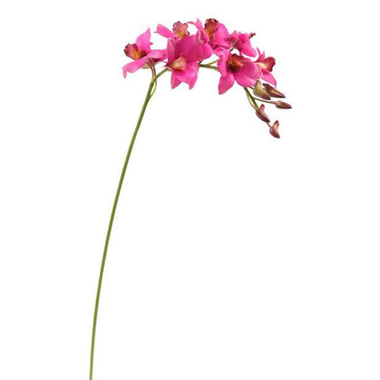 Dendrobium Stem Fuchsia 29.5''