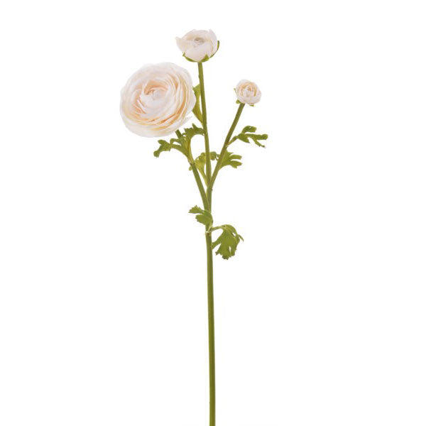Ranunculus Stem Blush 22.5"