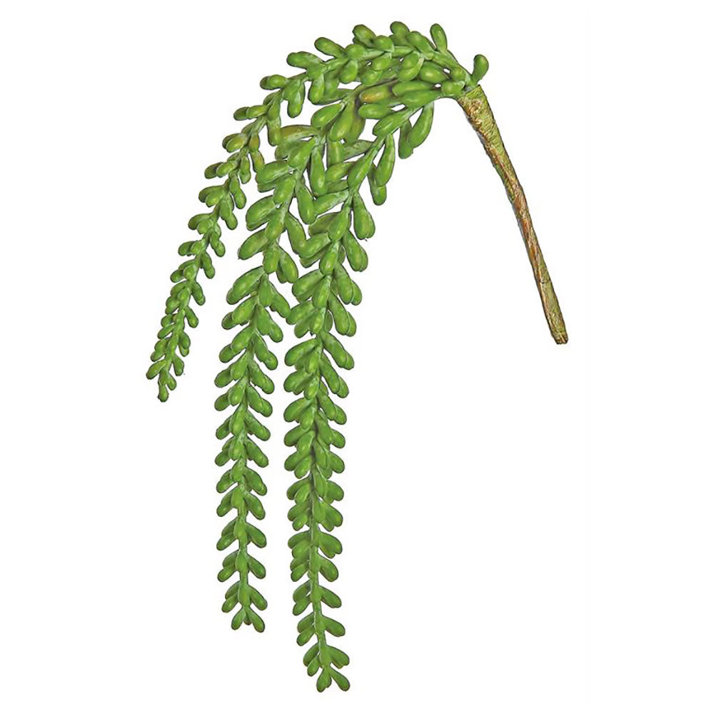 faux trailing succulent plant Burro Tail Succulent 15"