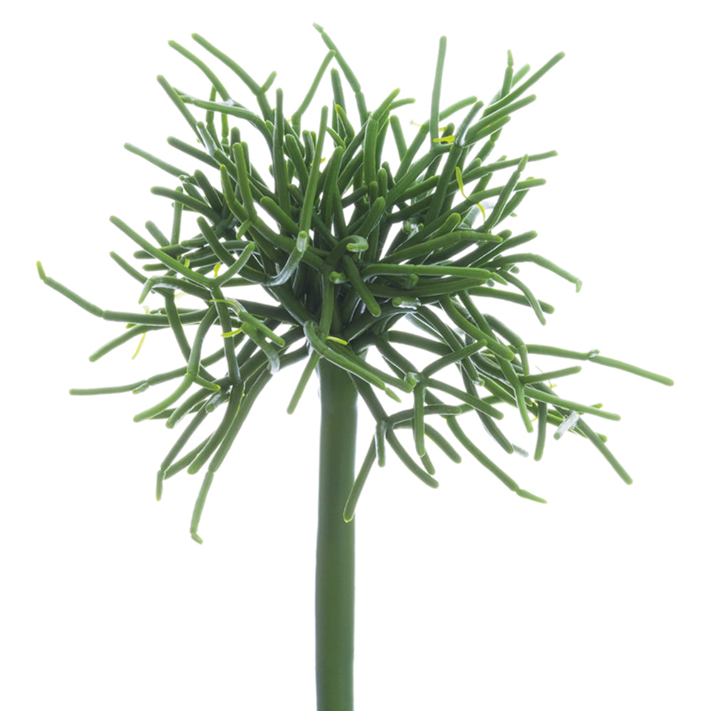 Mini Pencil Cactus