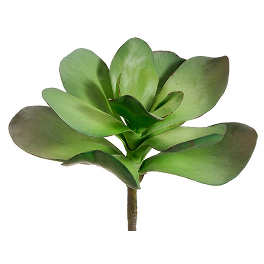 Faux succulent plant permanent succulent plant faux kalanchoe