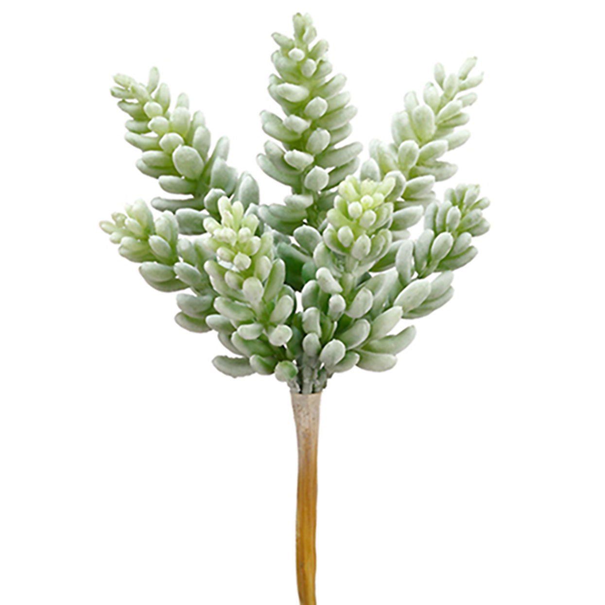 mini faux succulent plants Faux jelly bean succulent stem permanent sedum succulent faux succulent – Palm Bungalow