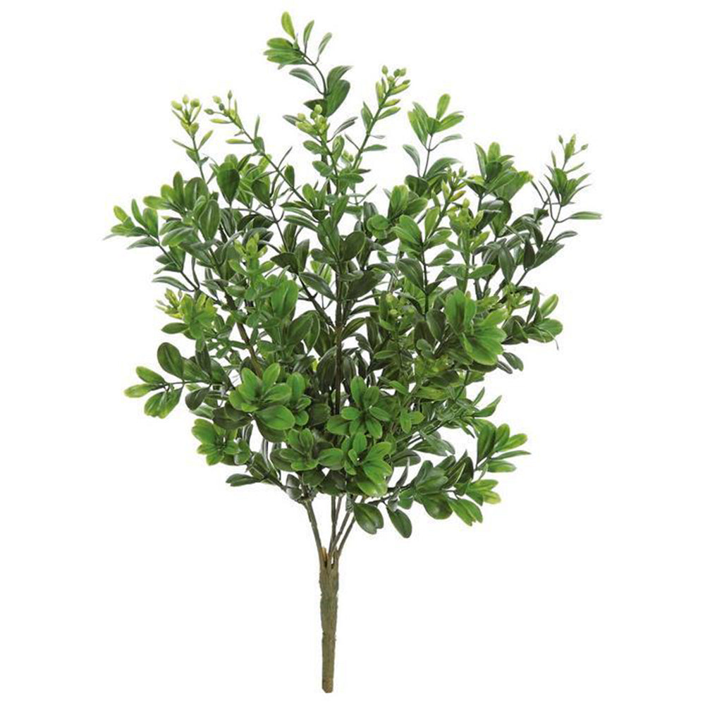 Mini Boxwood Branch