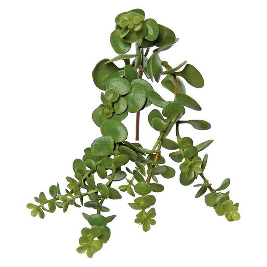 Faux hanging succulent stem permanent succulent faux succulent
