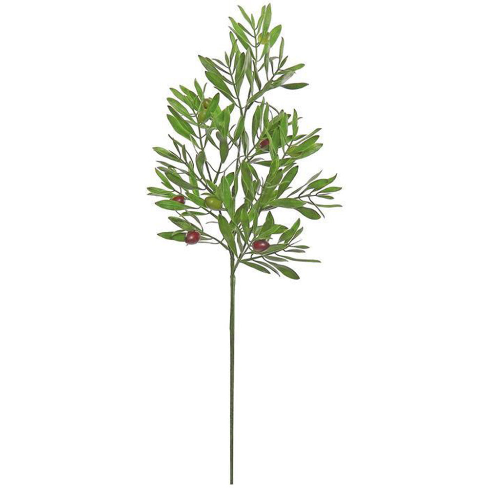 Olive Branch 25"