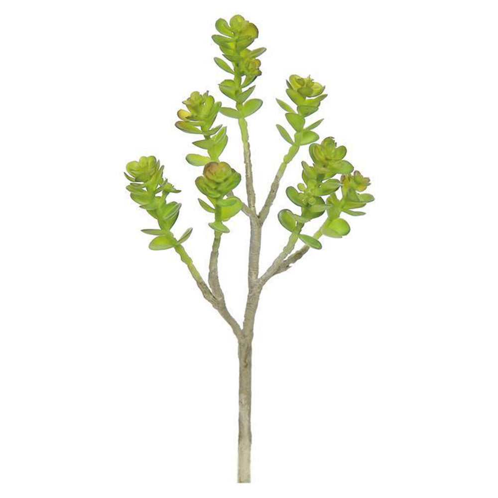 light green succulent Faux succulent stem, permanent succulent stem, faux succulent – Palm Bungalow