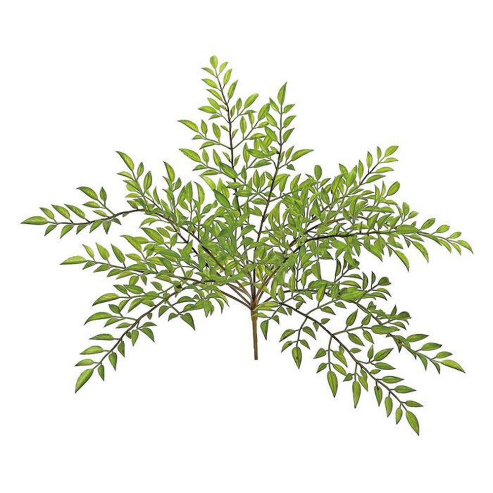 Glade Fern 15"