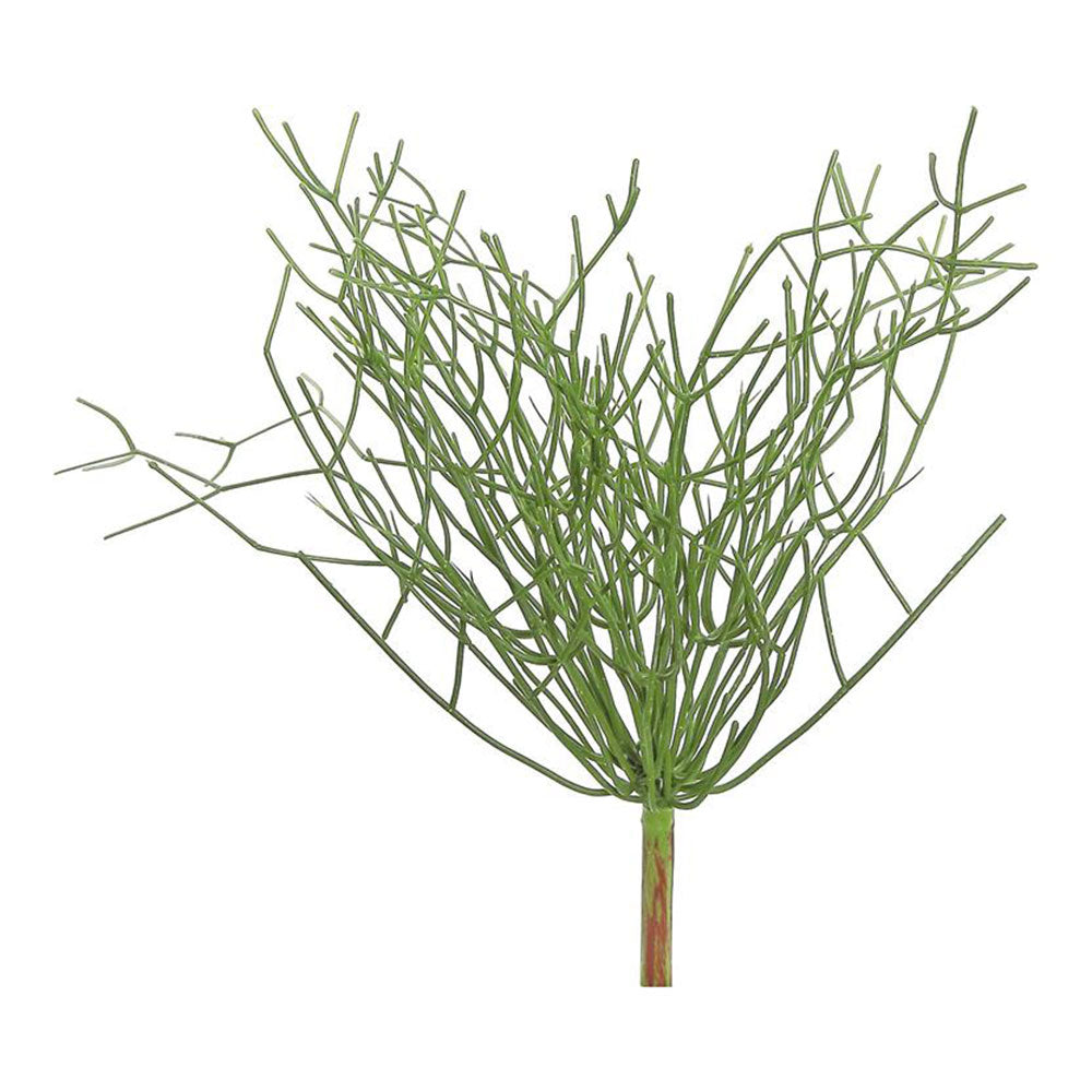Pencil Cactus 16"