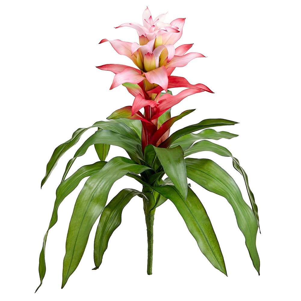 Bromeliad Pink 21"