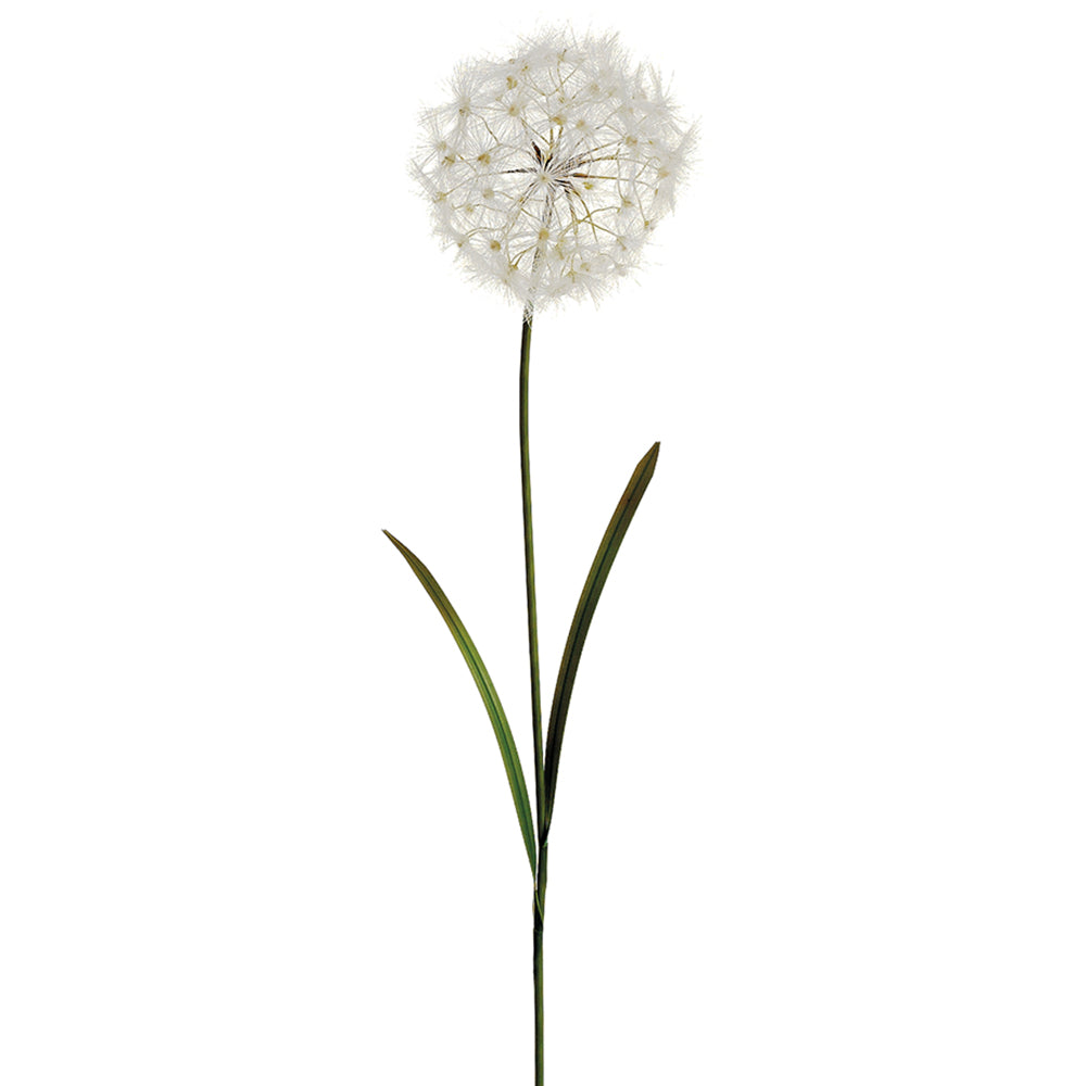 Dandelion 40"