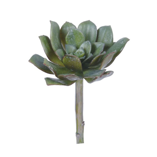 Faux echeveria succulent stem permanent echeveria succulent faux succulent