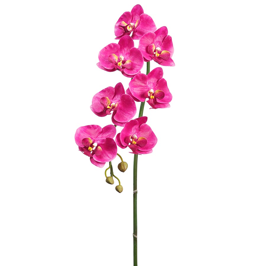 faux orchid permanent orchid faux phalaenopsis orchid stem