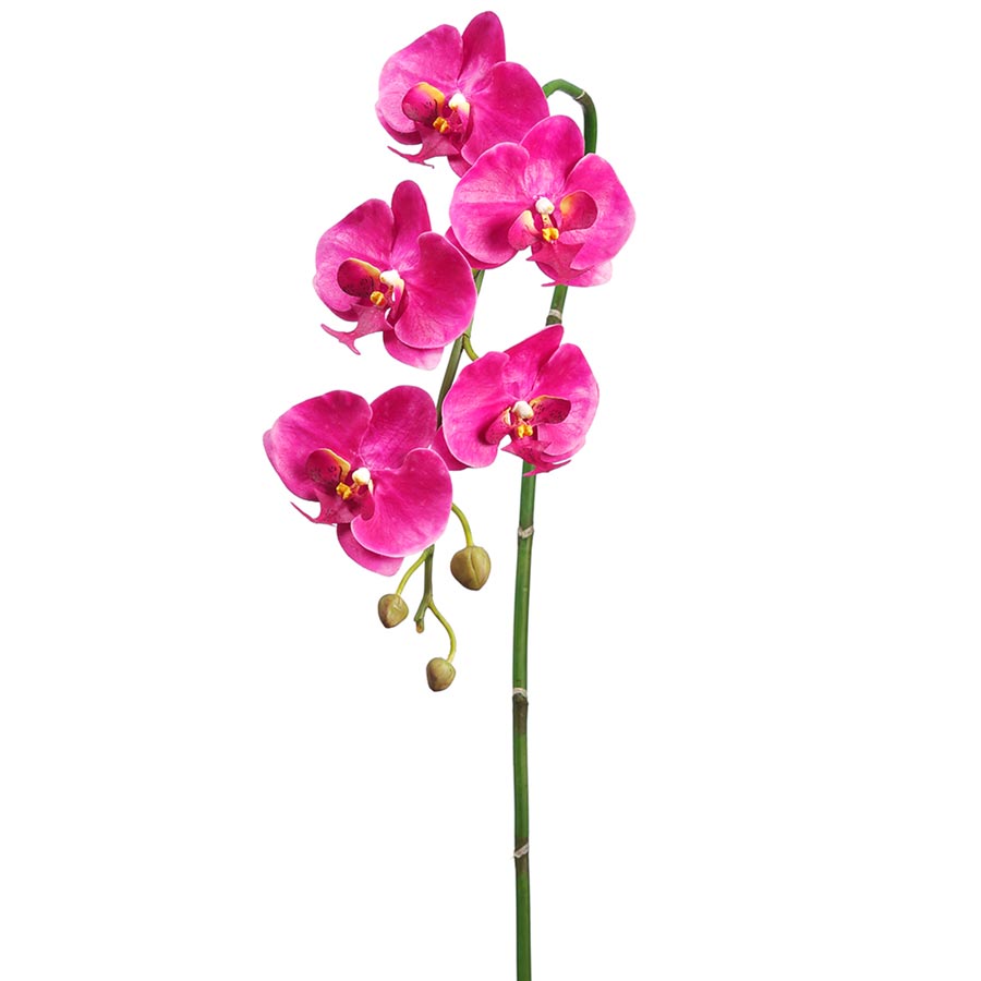 faux orchid permanent orchid faux phalaenopsis orchid stem