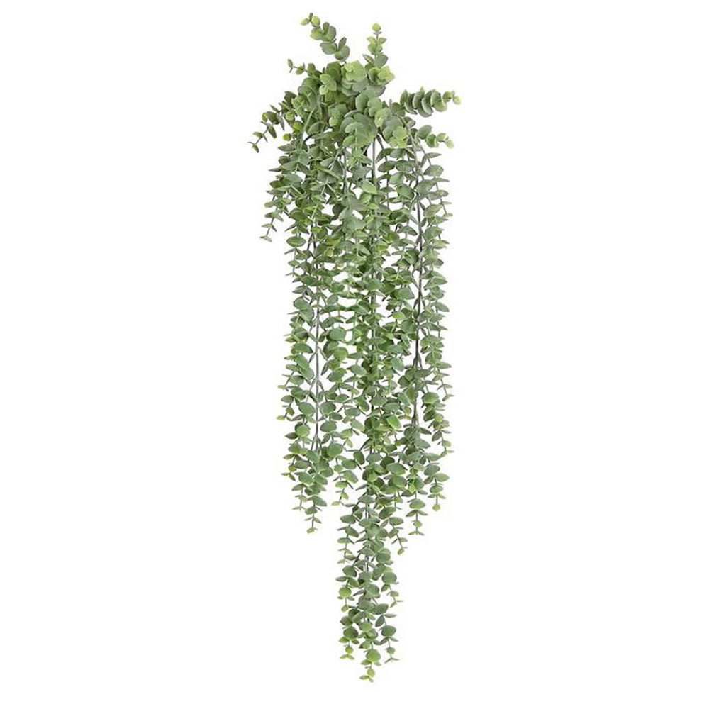 Hanging Eucalyptus 30"