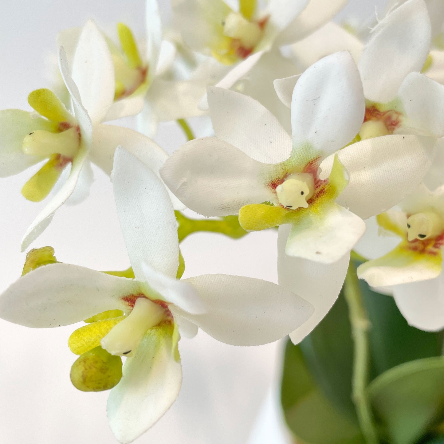 One Mini White Orchid in Mini Cane Vase