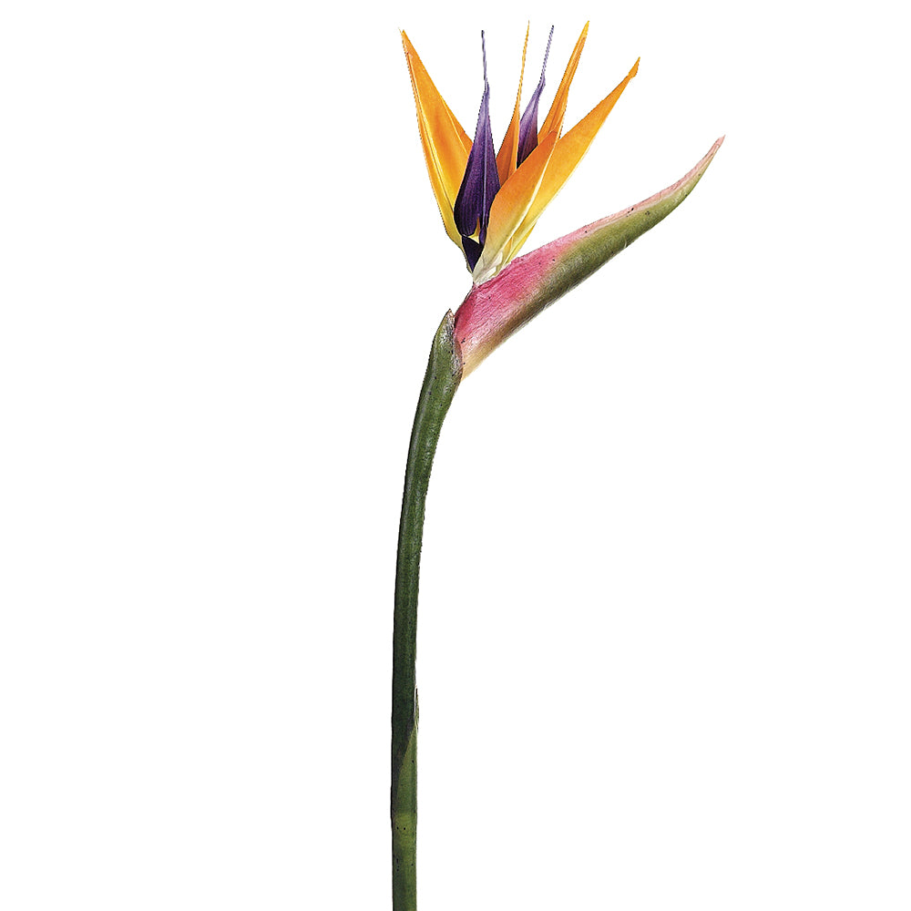 Bird of Paradise Flower Orange 37"