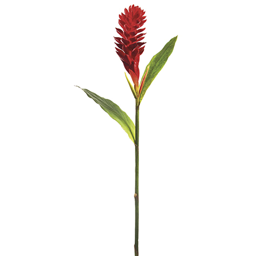 Ginger Flower Red 40"