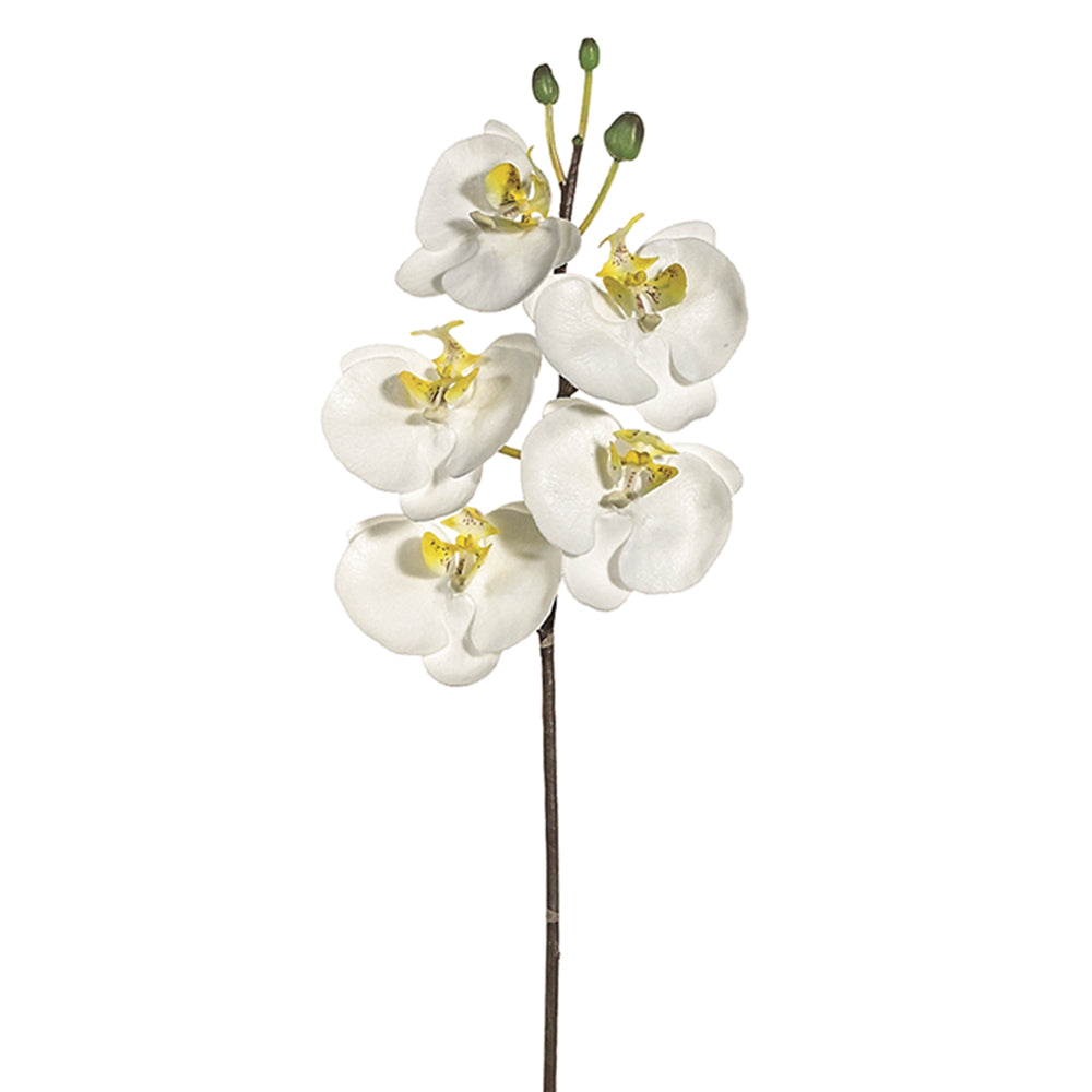 Faux phalaenopsis orchid stem, permanent orchid stem, faux orchid