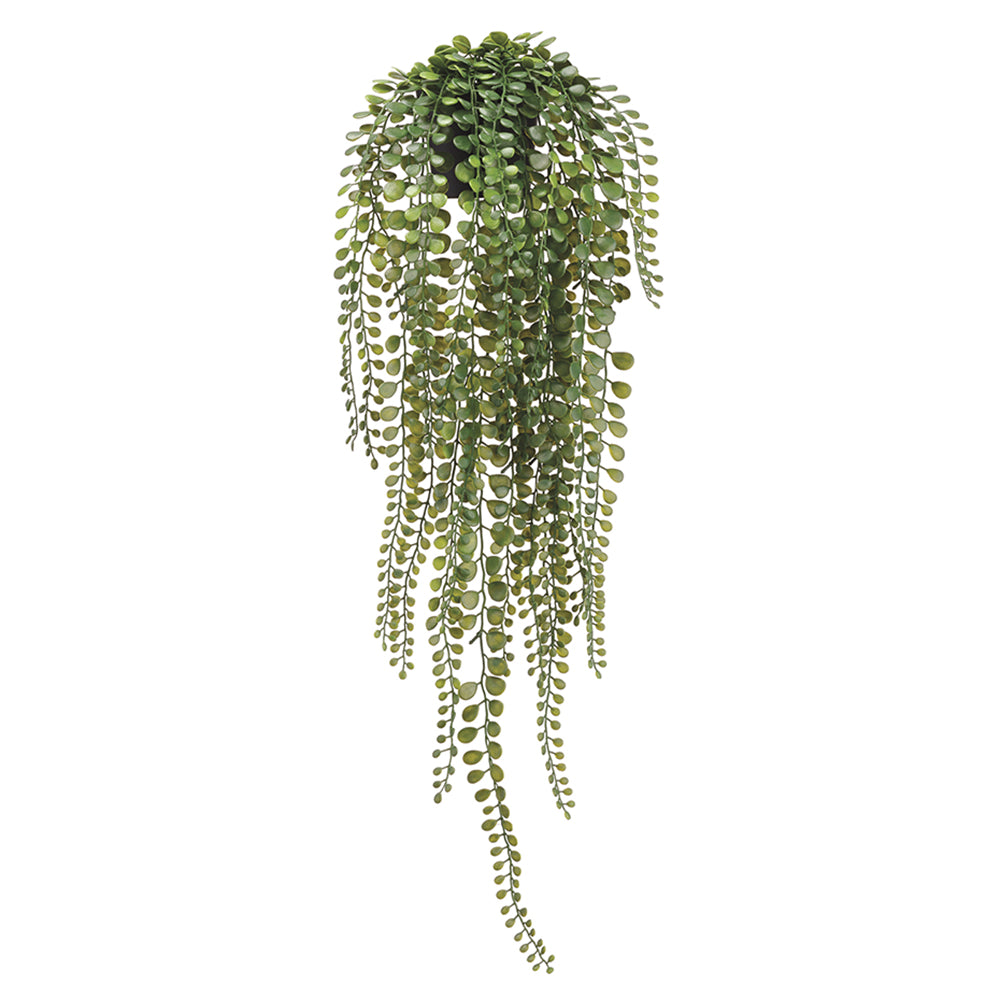 hanging faux plants Hanging Button Fern 24" – Palm Bungalow