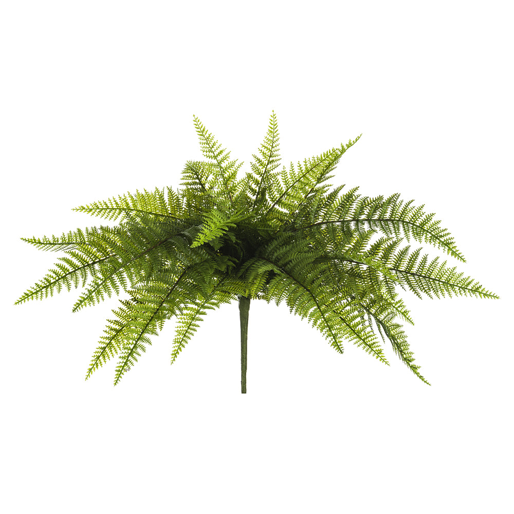 Leather Fern 20"