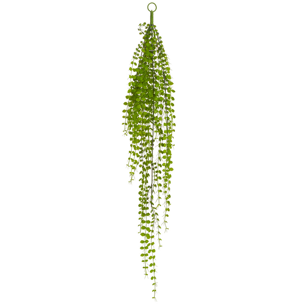Hanging Button Fern 39"