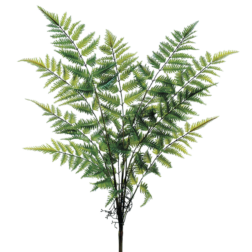 Forest Fern 27"