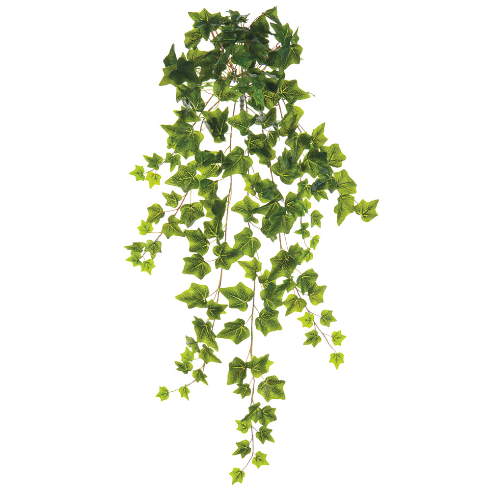 Hanging Ivy 34"