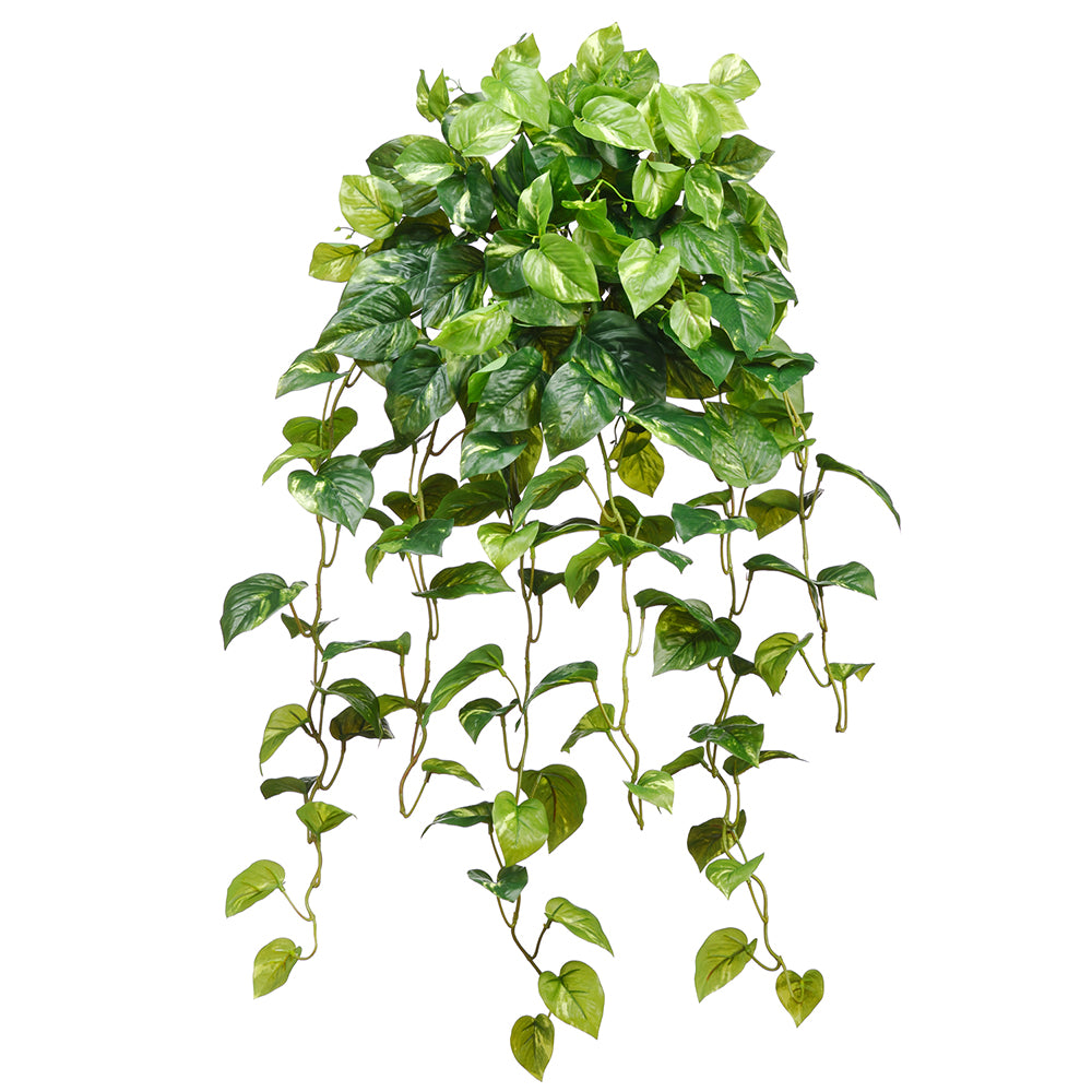 faux hanging pothos Hanging Pothos Plant 36"