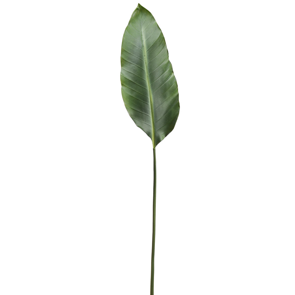 Bird of Paradise Leaf 36"