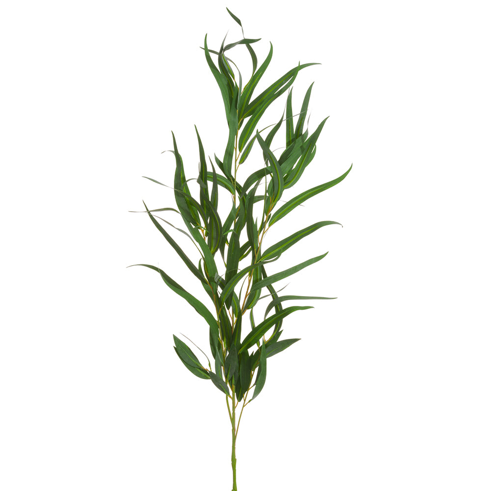 Weeping Eucalyptus Branch 39"