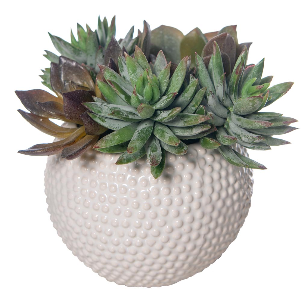 fake plants succulents fake plants succulents|artificial plants succulents|artificial succulent plant – Palm Bungalow