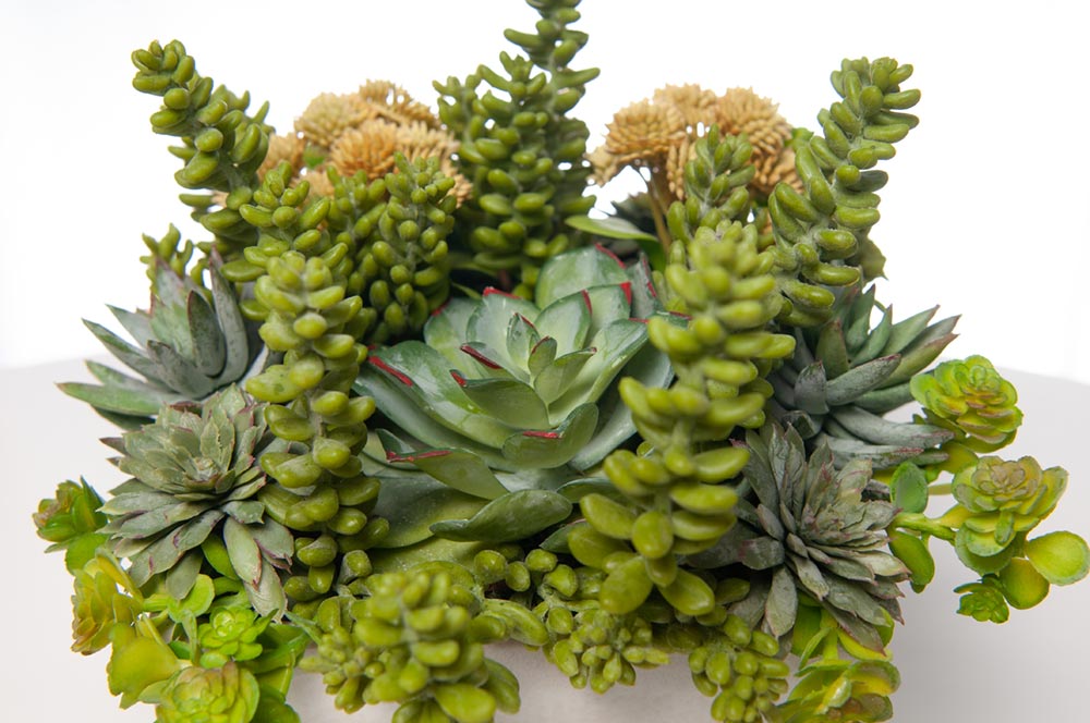 fake plants succulents|artificial plants succulents|artificial succulent plant