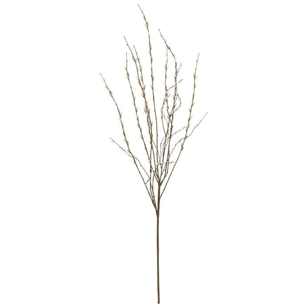 Pussy Willow Branches - Terrain