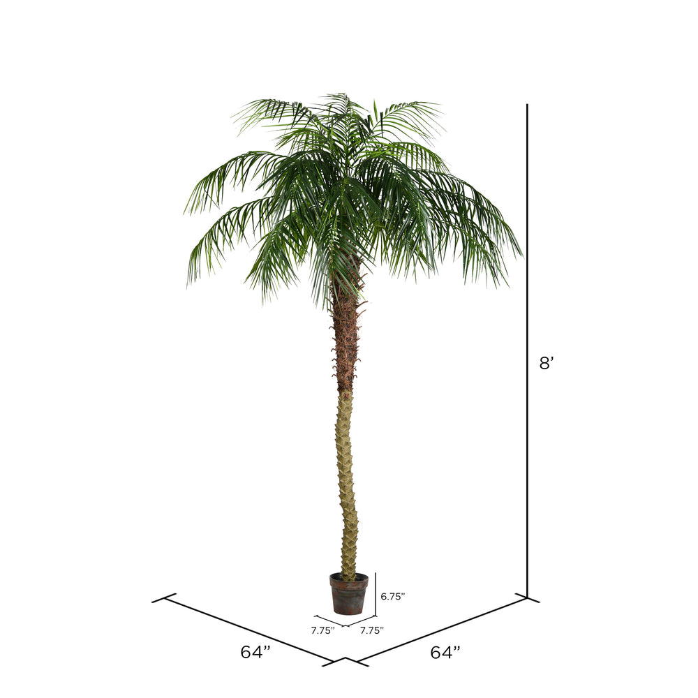 Phoenix Palm Tree 8'