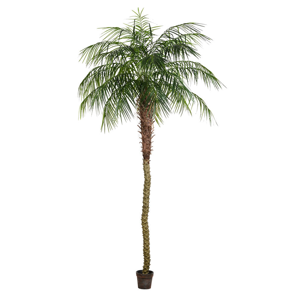 Phoenix Palm Tree 9'