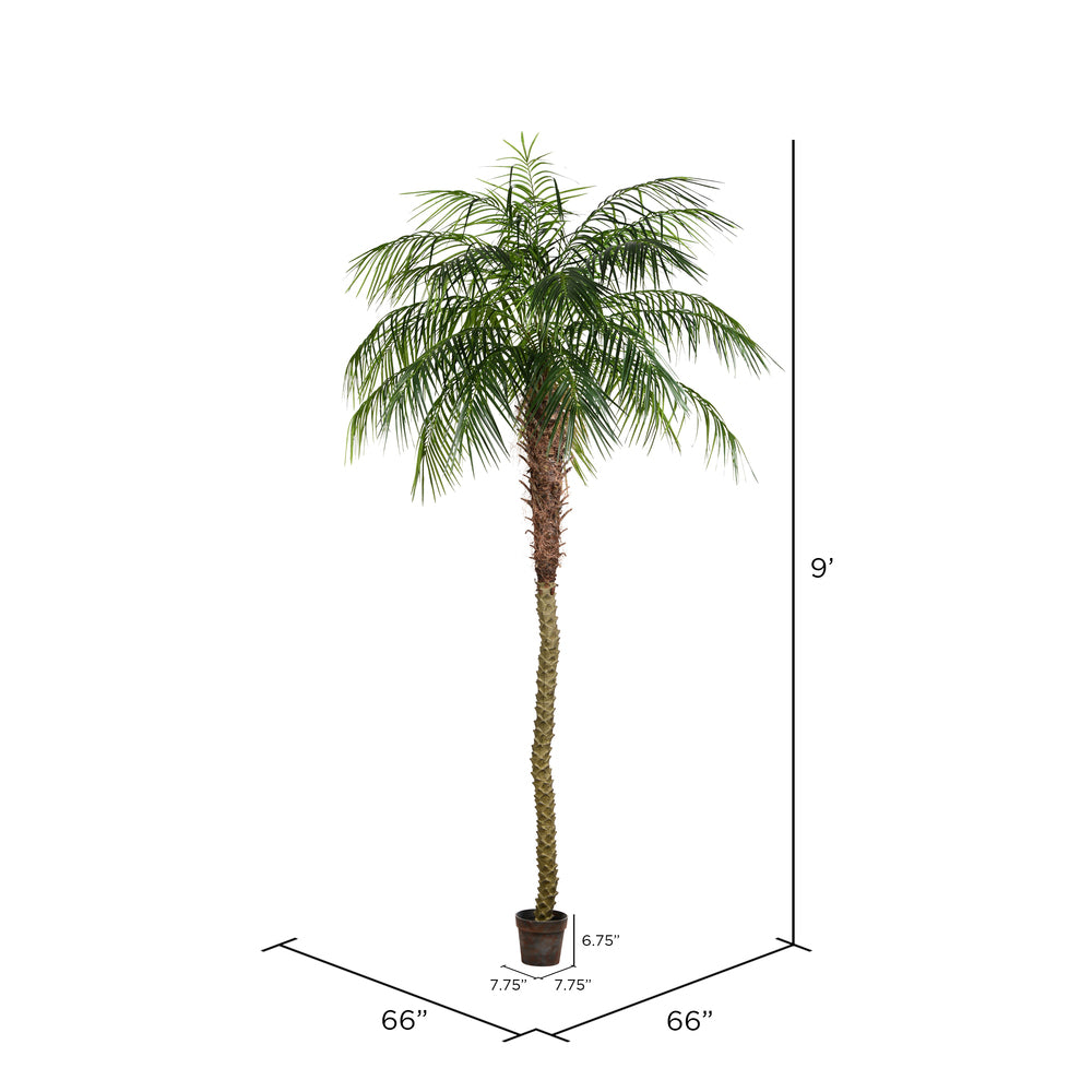 Phoenix Palm Tree 9'