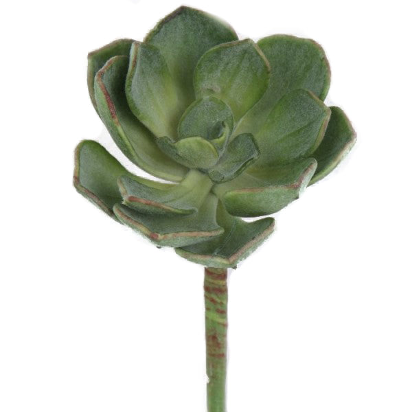 Faux echeveria succulent stem permanent echeveria succulent faux succulent