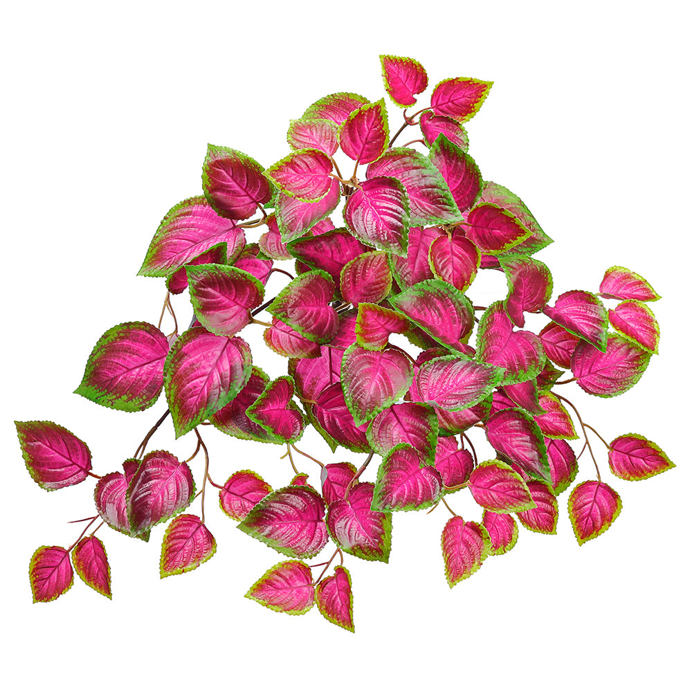 Pink Coleus 20" (UV safe)